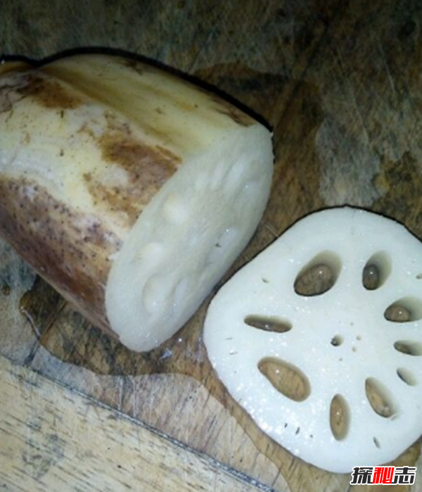 蓮藕有絲是怎么回事?藕斷絲連科學(xué)解釋