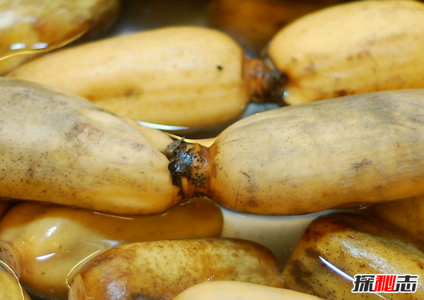 蓮藕有絲是怎么回事?藕斷絲連科學(xué)解釋