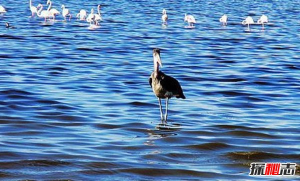 微信用貝寧什么意思?盤(pán)點(diǎn)貝寧十大旅游必知事項