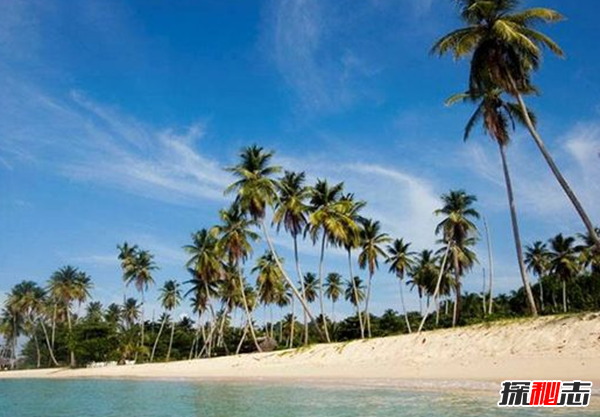 北美海岸線(xiàn)最長(cháng)的十個(gè)國家：美國海岸線(xiàn)排名第三