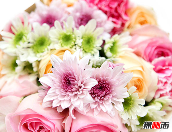 寶寶滿(mǎn)月送什么禮物好?送滿(mǎn)月寶寶禮物的禁忌