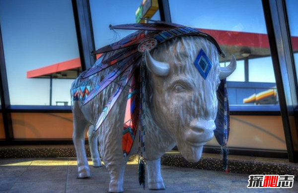 白化病是怎么引起的?關(guān)于白化病的15個(gè)驚人事實(shí)