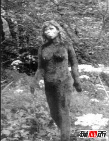 澳大利亞人形獸幽威,全身被棕色毛發(fā)覆蓋