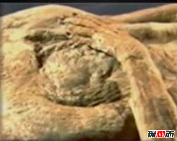 安徽香尸之謎,保存完整渾身散發(fā)異香(尸長(cháng)1.64米距今三百多年)