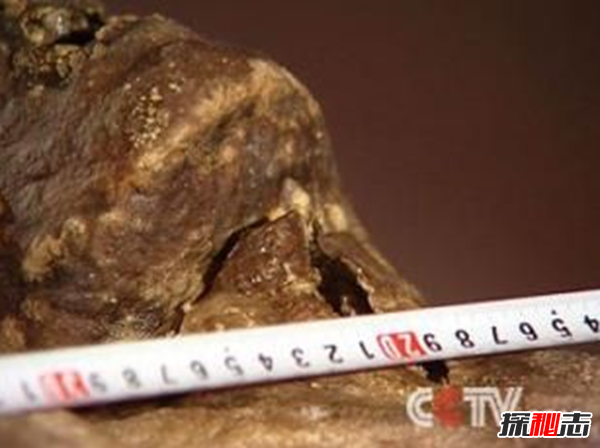 安徽香尸之謎,保存完整渾身散發(fā)異香(尸長(cháng)1.64米距今三百多年)