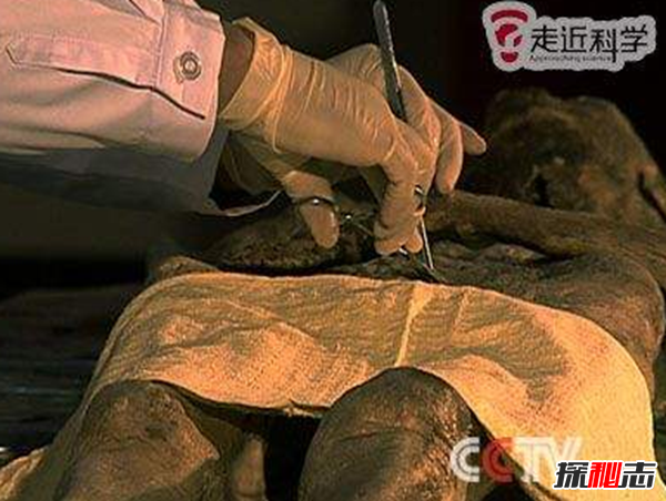 安徽香尸之謎,保存完整渾身散發(fā)異香(尸長(cháng)1.64米距今三百多年)