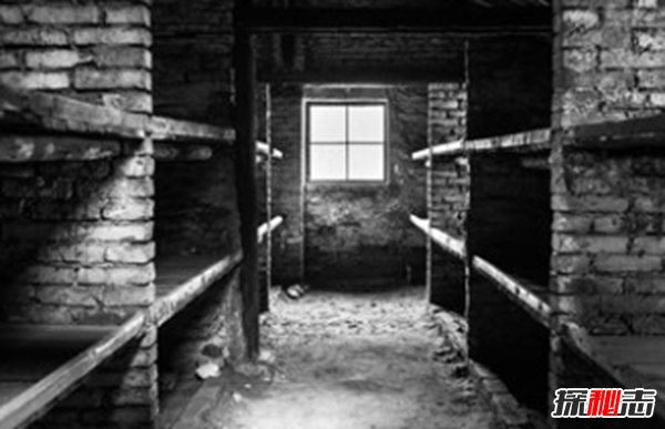 奧斯維辛有多慘?奧斯維辛集中營(yíng)的十大辛酸歷史