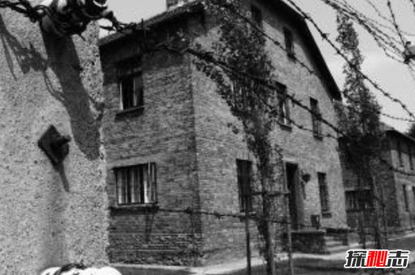 奧斯維辛有多慘?奧斯維辛集中營(yíng)的十大辛酸歷史