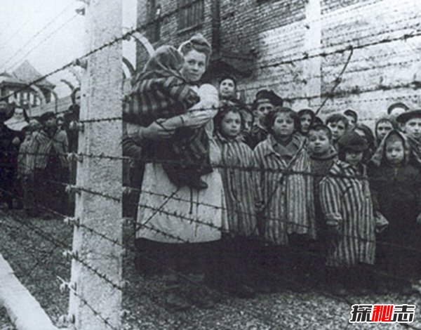 奧斯維辛有多慘?奧斯維辛集中營(yíng)的十大辛酸歷史
