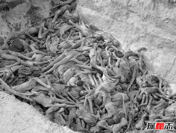 奧斯維辛有多慘?奧斯維辛集中營(yíng)的十大辛酸歷史