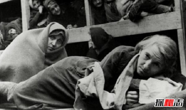 奧斯維辛有多慘?奧斯維辛集中營(yíng)的十大辛酸歷史