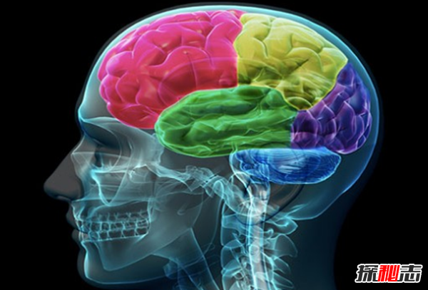 愛(ài)因斯坦是地球人嗎?愛(ài)因斯坦十大不敢說(shuō)的秘密