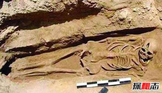 【曹操墓之謎】曹操墓在哪?曹操墓真假如何分辨?