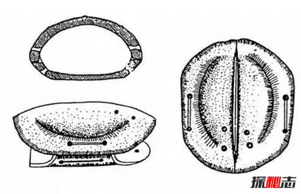 《河圖》《洛書(shū)》之謎,河洛數字能推算生死(圖解)