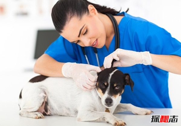 10個(gè)最掙錢(qián)的危險工作 有命賺錢(qián)也要有命花!(需小心)