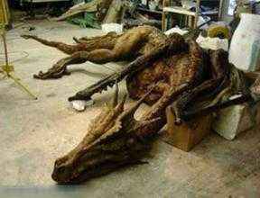 1979昆侖山發(fā)現了什么？7月飄雪,黃土變黑土