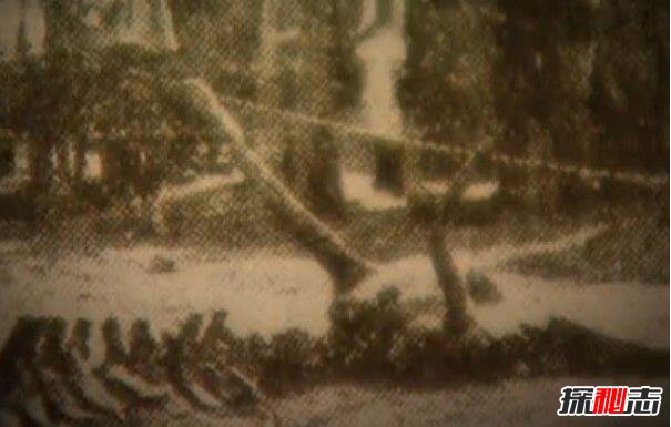1934年遼寧營(yíng)口墜龍事件是真的嗎，龍骨證據竟被日本人盜走