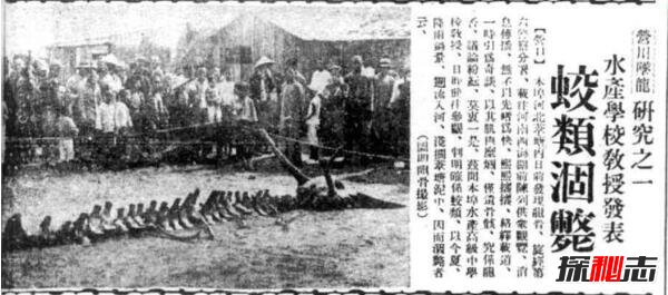 1934年遼寧營(yíng)口墜龍事件是真的嗎，龍骨證據竟被日本人盜走