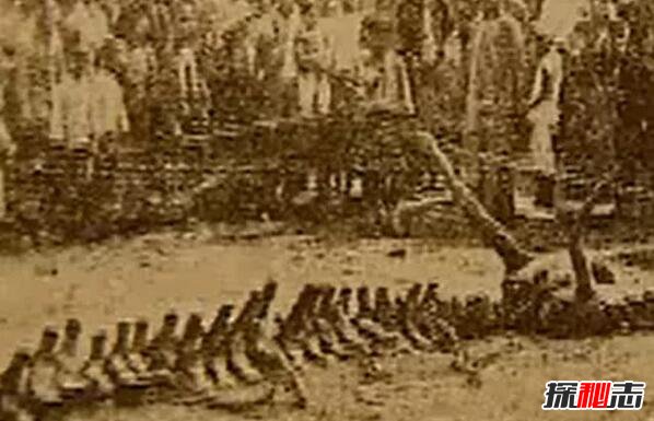1934年遼寧營(yíng)口墜龍事件是真的嗎，龍骨證據竟被日本人盜走