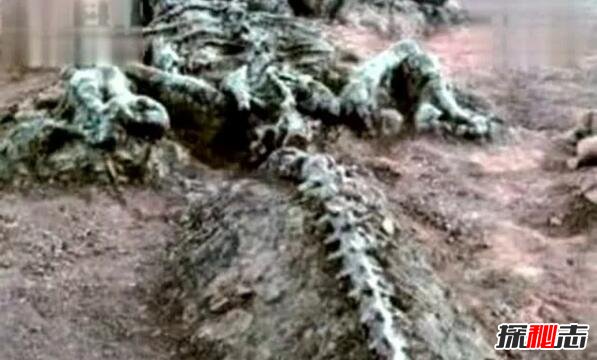 1934年遼寧營(yíng)口墜龍事件是真的嗎，龍骨證據竟被日本人盜走