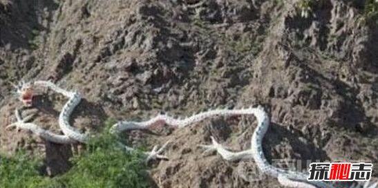 1944年松花江墜龍事件，漁民親眼目睹黑龍墜落沙灘(身長(cháng)20米)