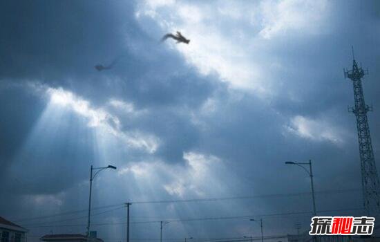 1944年松花江墜龍事件，漁民親眼目睹黑龍墜落沙灘(身長(cháng)20米)