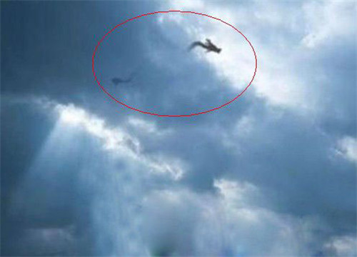 松花江墜龍事件，目擊者還原松花江墜龍事件經(jīng)過(guò)和真相