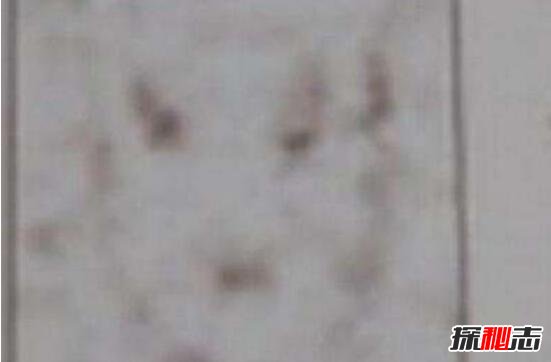 1981年香港狐仙事件是真的嗎，香港狐仙殺人真實(shí)事件揭秘