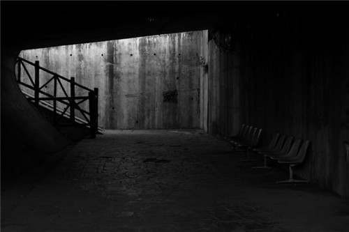 1987年夜貍貓事件：揭秘陜西秦嶺村莊離奇消失的過(guò)程和真相