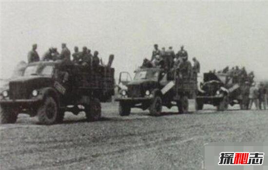 1987年新疆和田生化僵尸事件,喪尸攻擊核電站(出動(dòng)軍隊消滅)