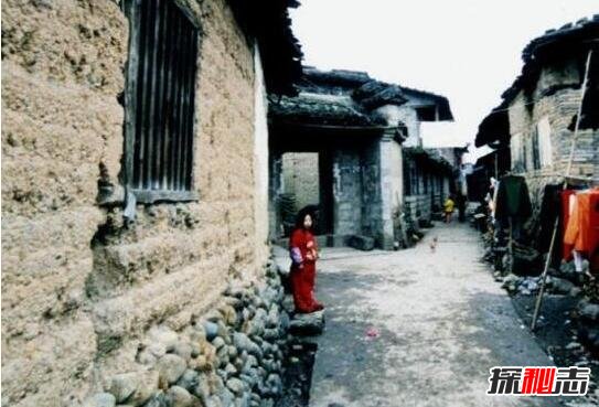 1987年陜西夜貍貓事件真相，陜西村莊一夜間離奇消失