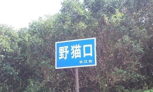 尼斯湖水怪之謎：水怪是真的嗎？尼斯湖水怪真相曝光