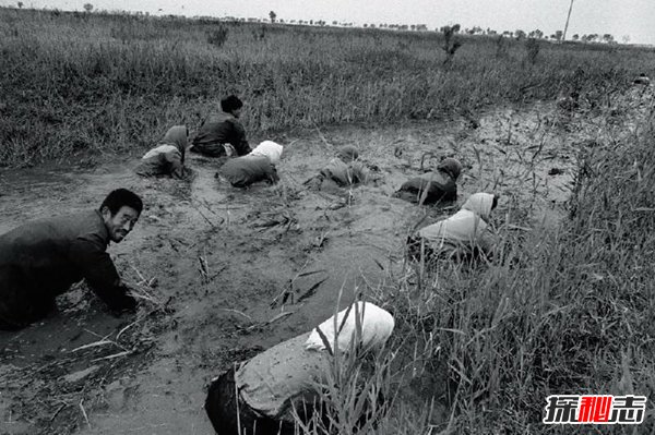 1998年黃河怪事蛇女,包工頭殺掉白蛇工人全部自殺