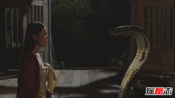 1998年黃河怪事蛇女,包工頭殺掉白蛇工人全部自殺