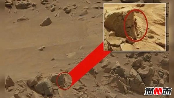 nasa公布外星人,六大證據表明外星人的存在（有圖有真相）