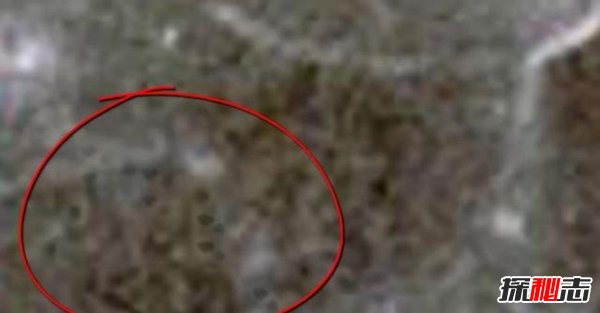 nasa公布外星人,六大證據表明外星人的存在（有圖有真相）