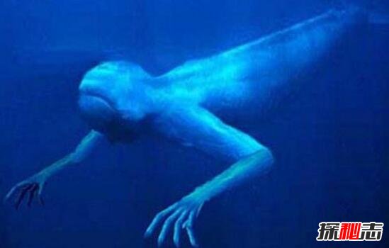 Ningen真的存在嗎,美國和日本在南極的人造生命體