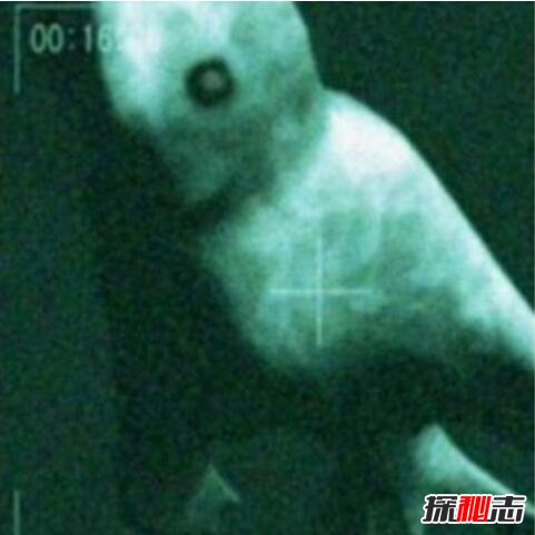 Ningen真的存在嗎,美國和日本在南極的人造生命體