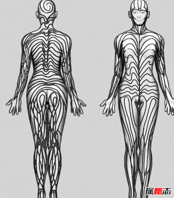 Blaschko斑紋癥是什么?全身長(cháng)滿(mǎn)條紋的罕見(jiàn)怪病