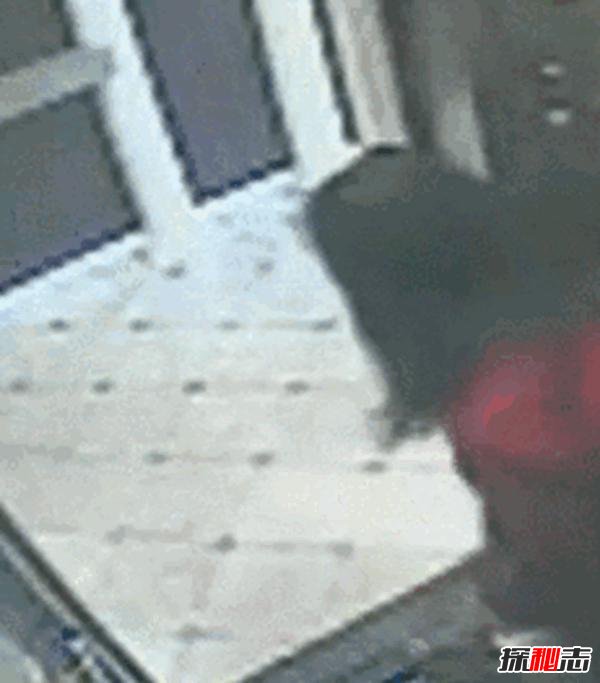 藍可兒死亡事件,揭秘藍可兒死亡真相(被謀殺)