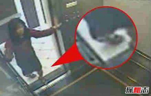 藍可兒死亡事件,揭秘藍可兒死亡真相(被謀殺)