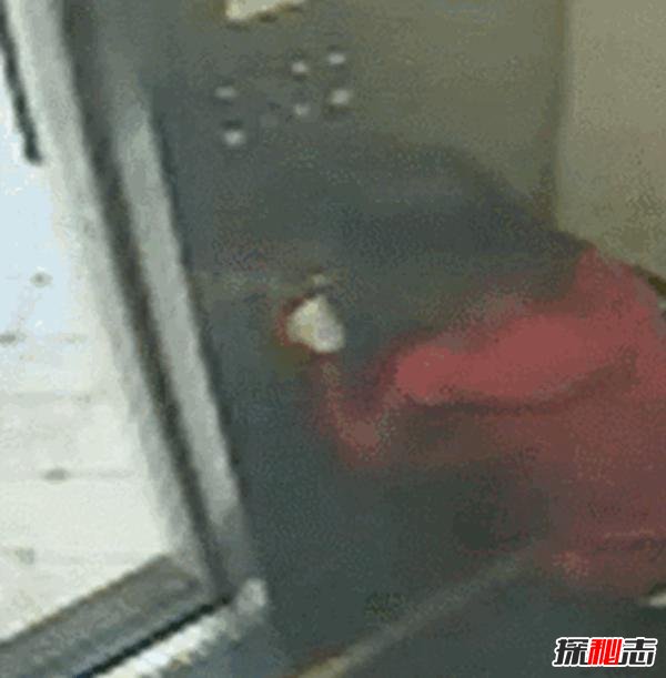 藍可兒死亡事件,揭秘藍可兒死亡真相(被謀殺)