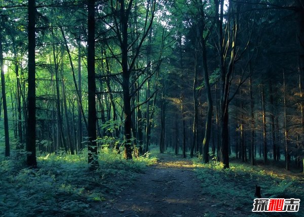 如何喚醒前世記憶,十大事件證明前世的存在(證據)