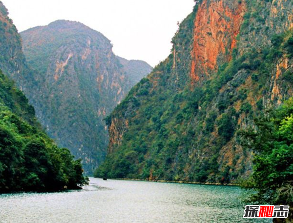 三峽中猿鳴的作用?揭三峽猿啼之謎