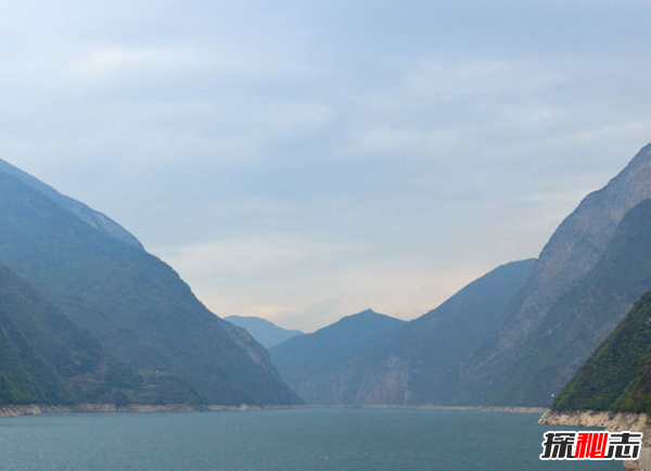 三峽中猿鳴的作用?揭三峽猿啼之謎