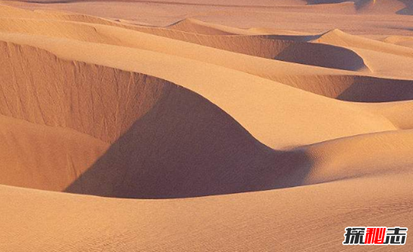 沙漠中最頑強的十大植物,圓桶掌能在地下存活達6年