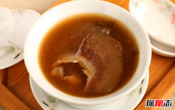 鯊魚(yú)攻擊事件哪里最多?鯊魚(yú)攻擊的十大可怕之處