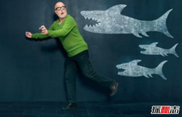 鯊魚(yú)攻擊事件哪里最多?鯊魚(yú)攻擊的十大可怕之處