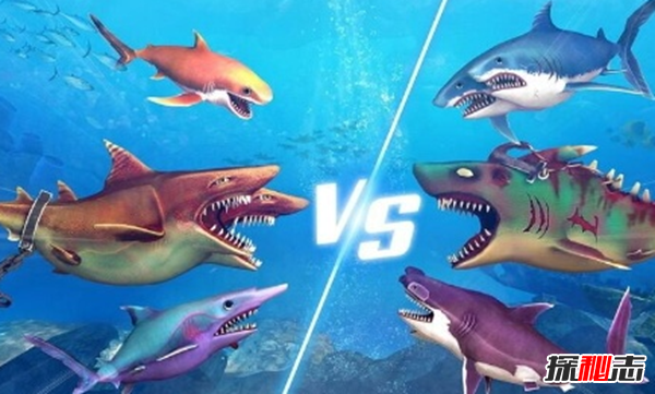 鯊魚(yú)攻擊事件哪里最多?鯊魚(yú)攻擊的十大可怕之處