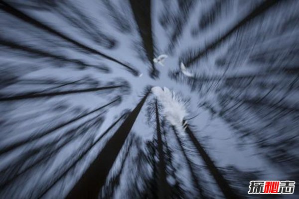 閃回現象之謎,平行宇宙導致閃回現象